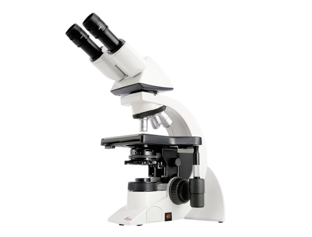Microscopio DM1000 LED