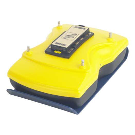 Georradar NOGGIN® 250