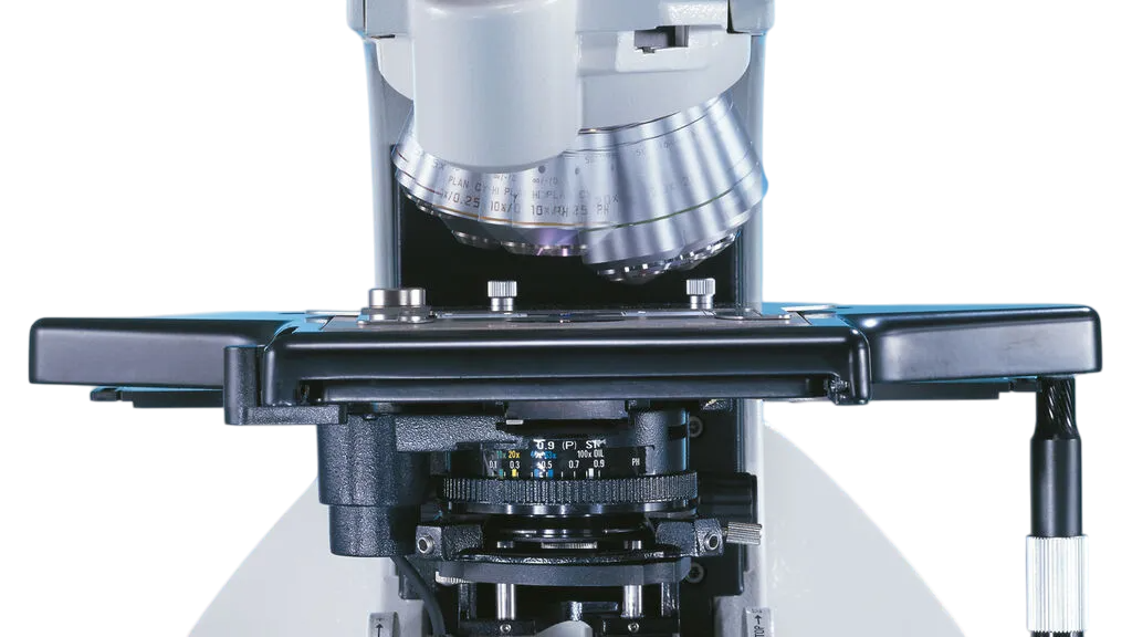 Microscopio DM3000 LED